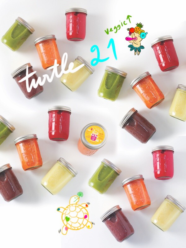 PUKPUN TURTLE 21 DAYS